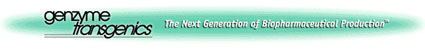 Genzyme Transgenics